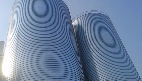 东河镇2座混凝土高架卷板仓